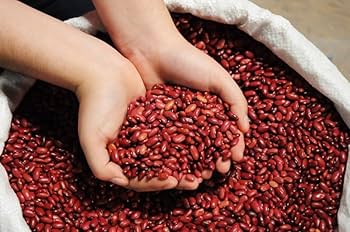 FRIJOL DE SEDA COSTAL SACO/50LB